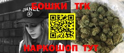 тгк Славгород