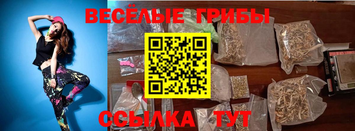 Псилоцибиновые грибы мицелий Рязань